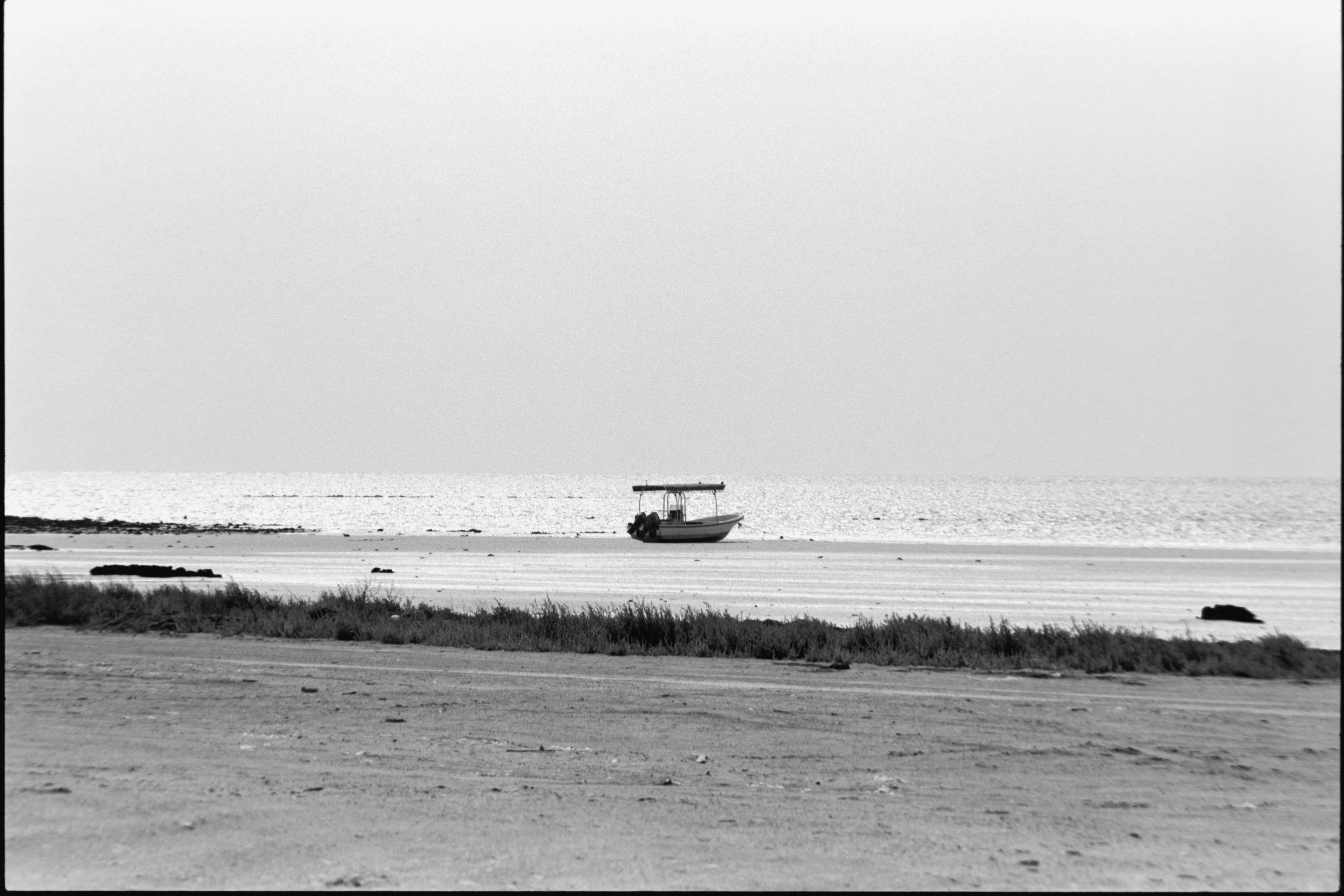 Photography 26