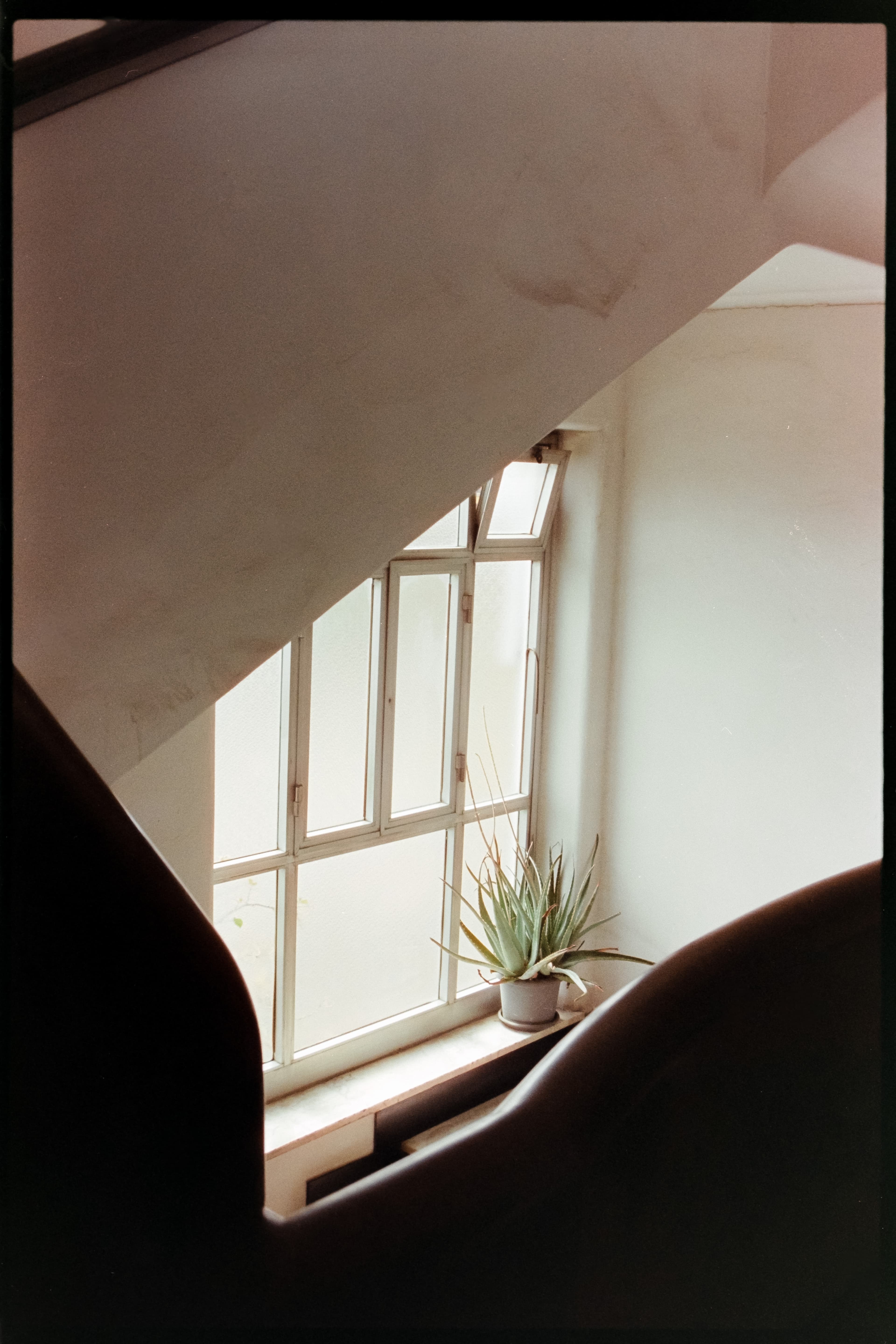 Photography 42