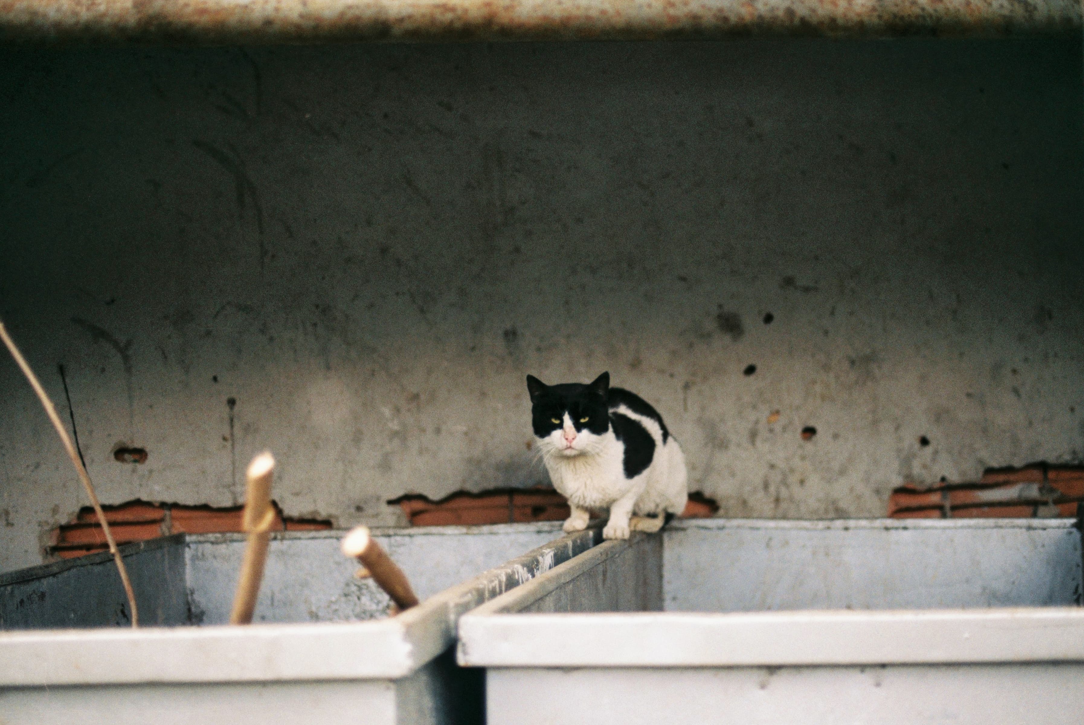 Photography 68